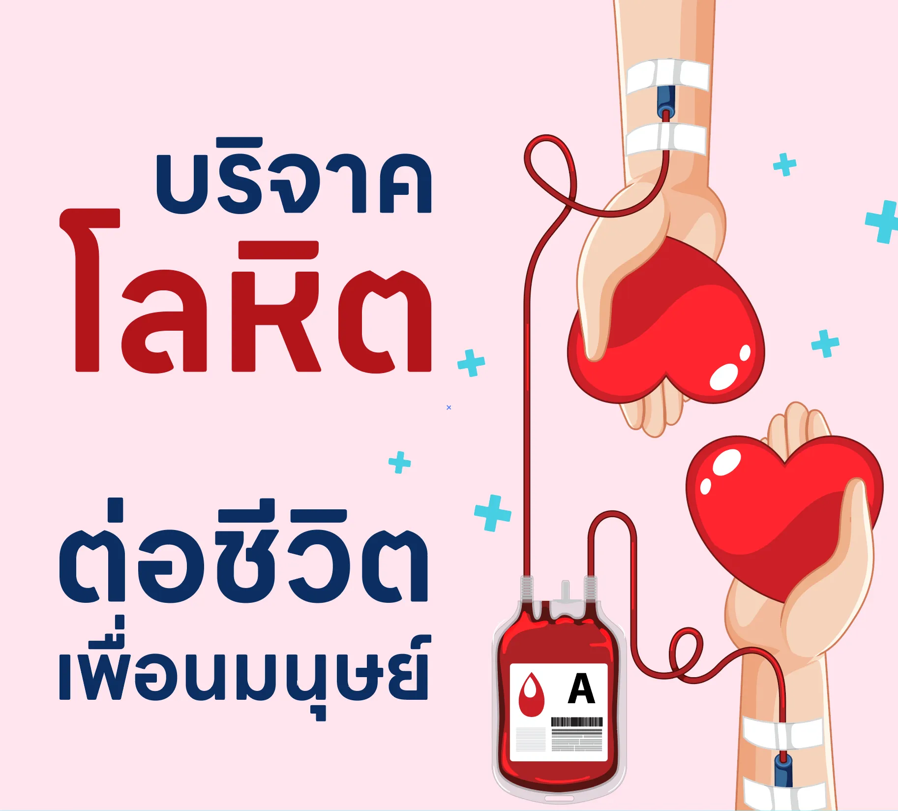 รูปภาพ10